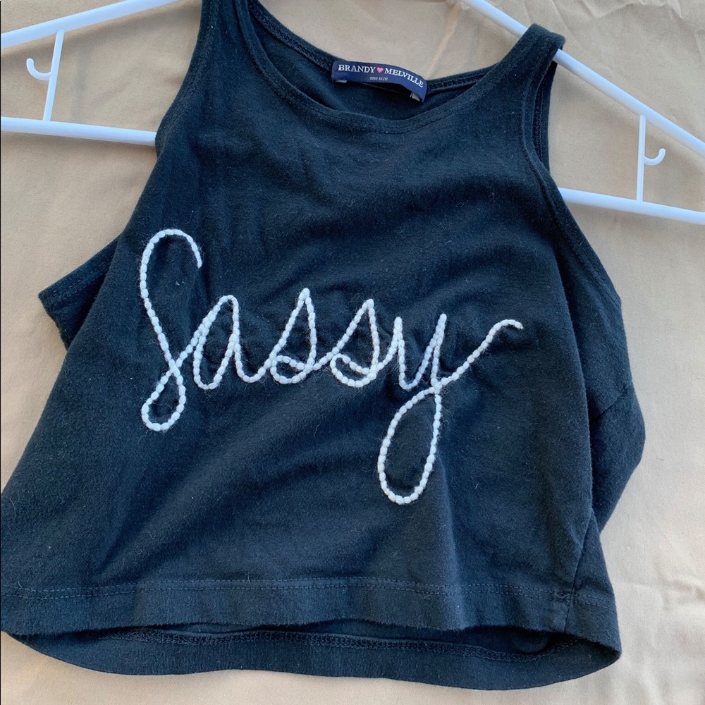 Brandy Melville- Crop Top - “Sassy”